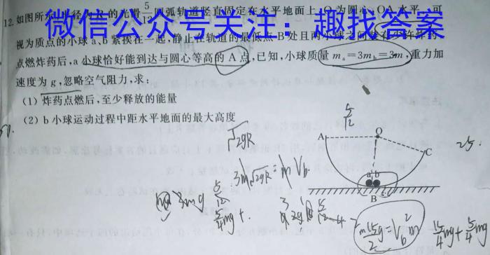 山东省2024届高三模拟试题(二)2物理试卷答案