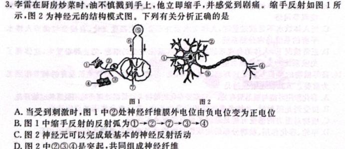 陕西省2023~2024学年第二学期高一期末考试(24709A)生物