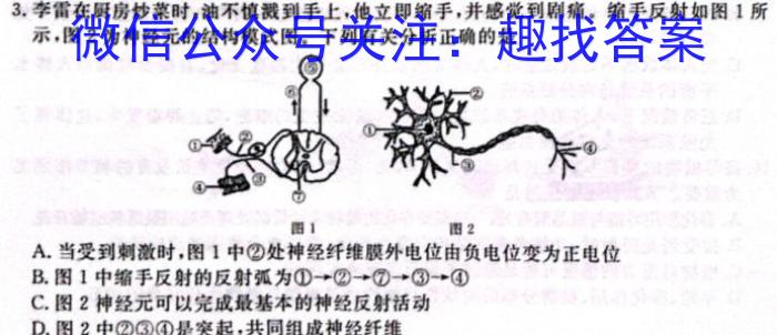 林芝市2024届高三第一次模拟考试(24274C)生物学试题答案