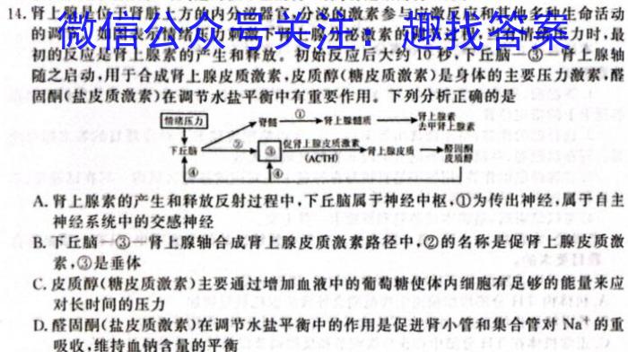 安徽省亳州市2024年4月份九年级模拟考试生物学试题答案