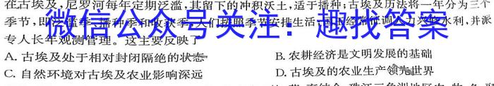 2024年宣城市三县九年级联盟素质检测卷历史试卷