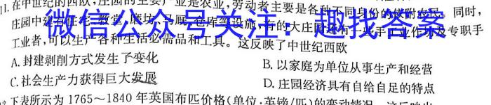 江西省2024届九年级（三）12.27历史试卷答案