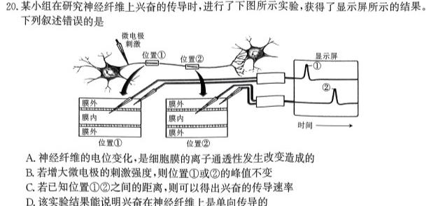 清远市2023-2024学年第二学期高中期末教学质量检测（高二）生物