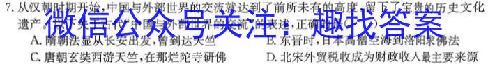 安徽省2024年中考总复习专题训练 R-AH(八)8历史试卷答案