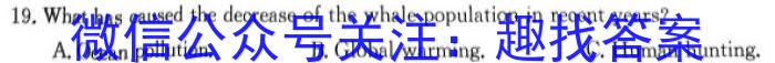 青桐鸣 2026届普通高等学校招生全国统一考试 青桐鸣高一联考(12月)英语试卷答案