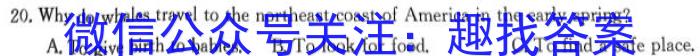 湖北省2024年新高考联考协作体高三2月收心考试英语