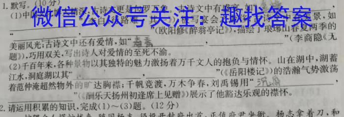 陕西省汉阴县2023-2024学年度第一学期九年级期末学科素养检测语文