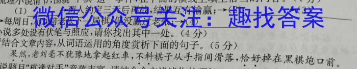 2024年河北省初中毕业生升学文化课考试模拟试卷（XX三）语文