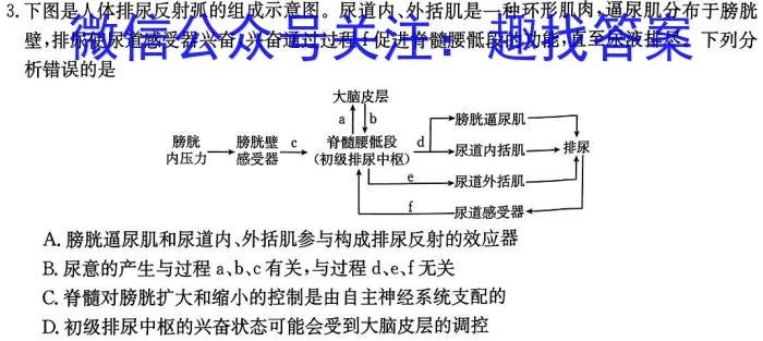 2024届四川省自贡市普高第三次诊断性考试生物学试题答案