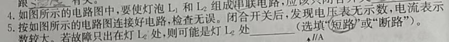 [今日更新]河南省洛阳市偃师区2023-2024学年八年级第一学期期末质量检测试卷.物理试卷答案