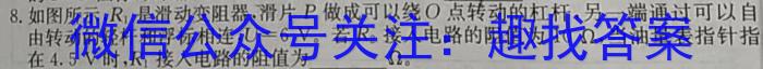 河南省2023-2024学年上学期九年级阶段性评价卷四物理试卷答案