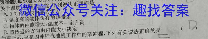 河南省2023-2024学年度八年级综合素养评估（八）【R-PGZX C HEN】物理试题答案