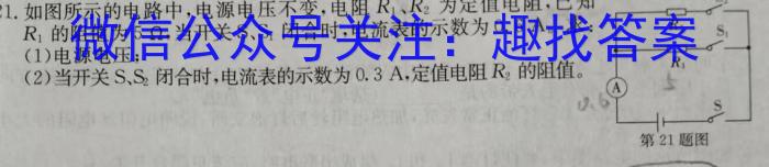 2024年河北省初中毕业生升学文化课模拟考试(夺冠型)物理`