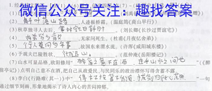 陕西省2023~2024学年九年级上学期阶段性学情分析(三)3/语文