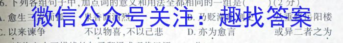 河南省2024年内黄县九年级适应性测试试卷语文