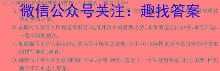 新疆维吾尔自治区2024年普通高考第一次适应性检测/语文