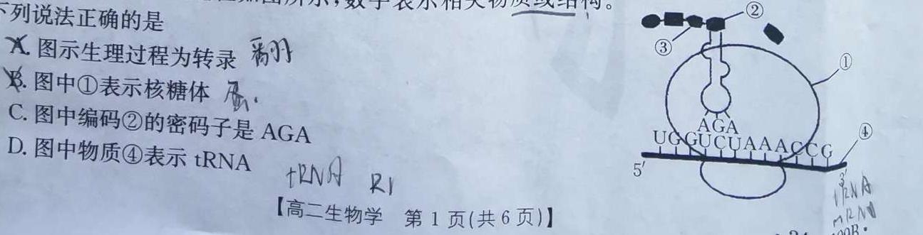 安徽省2023-2024学年第二学期高一年级4月期中联考生物