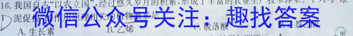 2024届岳阳市高三教学质量监测(三)生物学试题答案