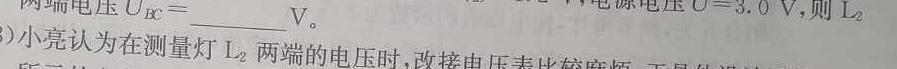 [今日更新]学普试卷 2024届高三第十一次模拟试题(十一)11.物理试卷答案