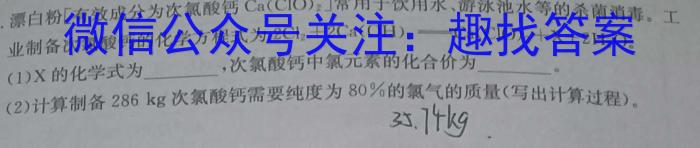 3河南省驻马店市2023-2024学年度第一学期九年级阶段监测(三)化学试题