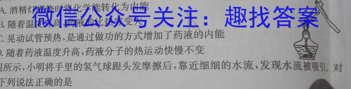 河南省2024年九年级中招模拟试卷（一）物理`