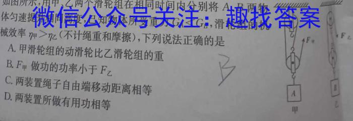 河北省2024年九年级6月模拟（一）物理试卷答案