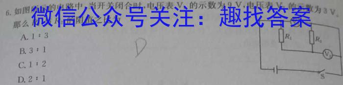 2024年河北省初中毕业生升学文化课模拟考试(夺冠型)物理试题答案