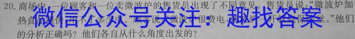 2024年陕西省初中学业水平考试·母题卷物理试卷答案