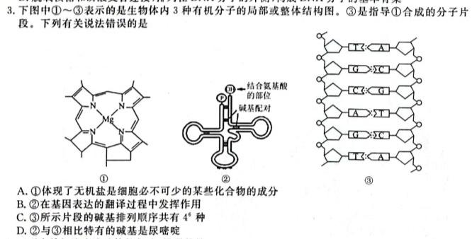 河北省2023-2024学年度七年级第二学期学业水平测试(#)生物