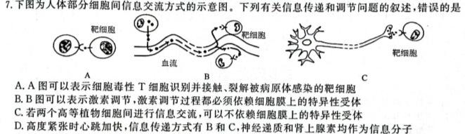 海淀八模 2024届高三模拟测试卷(六)6生物学部分