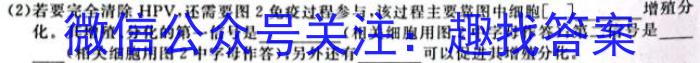 陕西省2024届九年级第二次适应性训练生物学试题答案