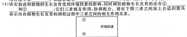 河南省许济洛平2023-2024学年高三3月联考生物