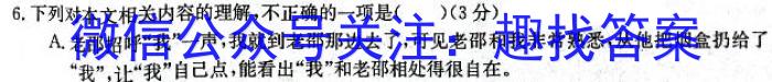 陕西省2024届高三第三次模拟检测语文