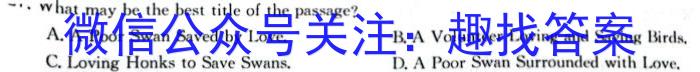 BST-ED2024年湖南省初中学业水平考试模拟试卷(六)英语