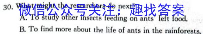 陕西省2023-2024学年度第一学期阶段性学习效果评估（高二期末）英语
