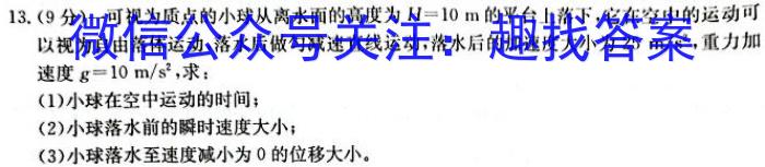 鼎成原创模考2024年河南省普通高中招生考试双基夯实卷（二）物理试卷答案