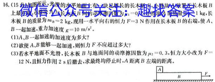 湖南师大附中2024-2025学年度高二第一学期入学考试物理试卷答案