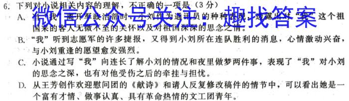 2024年陕西省九年级学业水平质量检测（☆）/语文
