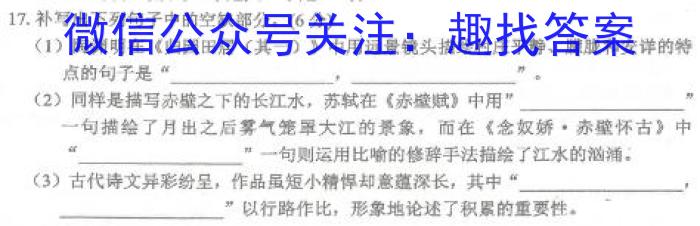 云南师大附中(贵州卷)2024届高考适应性月考卷(九)(黑白黑白白白白黑黑)语文