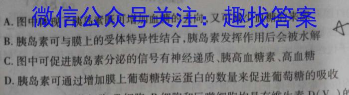 河北省思博教育2023-2024学年九年级第一学期第四次学情评估（期末）生物学试题答案