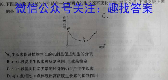 河南省九师联盟2023年12月高二年级质量检测生物学试题答案