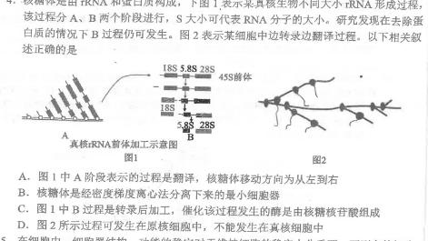 2024年广东省中考信息押题卷(二)生物