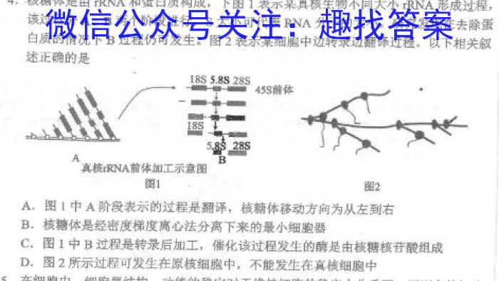 府谷县第一中学高二年级第二次月考(24314B)生物学试题答案