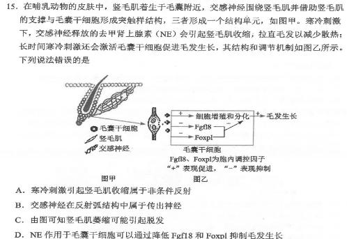 重庆2023-2024学年度高二中期考试(24-446B)生物