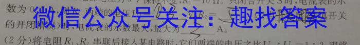 河南省驻马店市2023-2024学年度第一学期九年级阶段监测（三）物理`