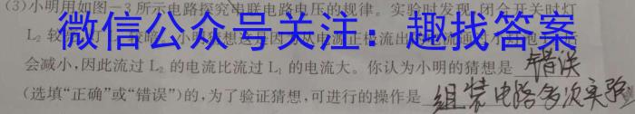 2024年浙江省普通高中学业水平适应性考试(6月)物理试题答案