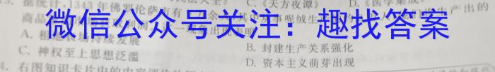 安徽省2024年九年级教学质量检测(CZ147c)历史试卷答案