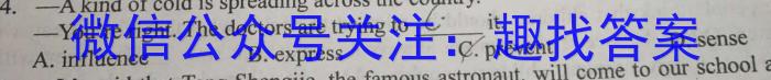 2024年安徽省初中学业水平考试 坤卷英语