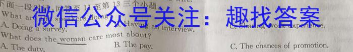 安徽省2024年中考密卷先享模拟卷(二)英语试卷答案