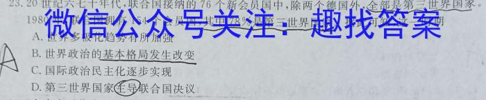 安徽省2024年中考总复习专题训练 R-AH(十)10历史试卷答案